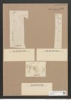 Synedra radians Kuetz. (de-Toni-Nr.: Genus 66, Species 2592) Zeichnungen Sammlung Grunow Nr. 5281 (NHMW-BOT-W0373667)